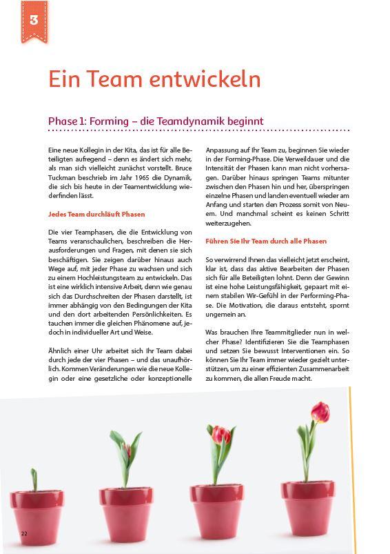 Beispielinhalt (Bild) Teamentwicklung in der Kita