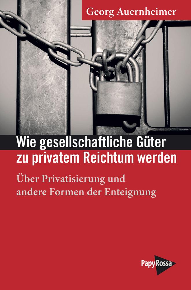 Vorderes Coverbild Wie gesellschaftliche Güter zu privatem Reichtum werden