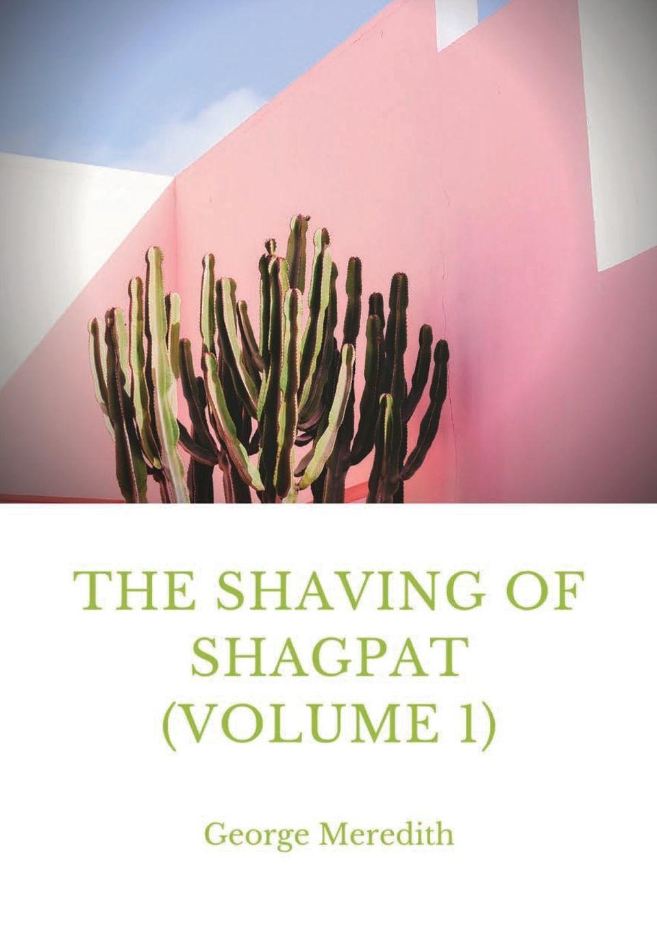 Vorderes Coverbild The Shaving of Shagpat (volume 1)