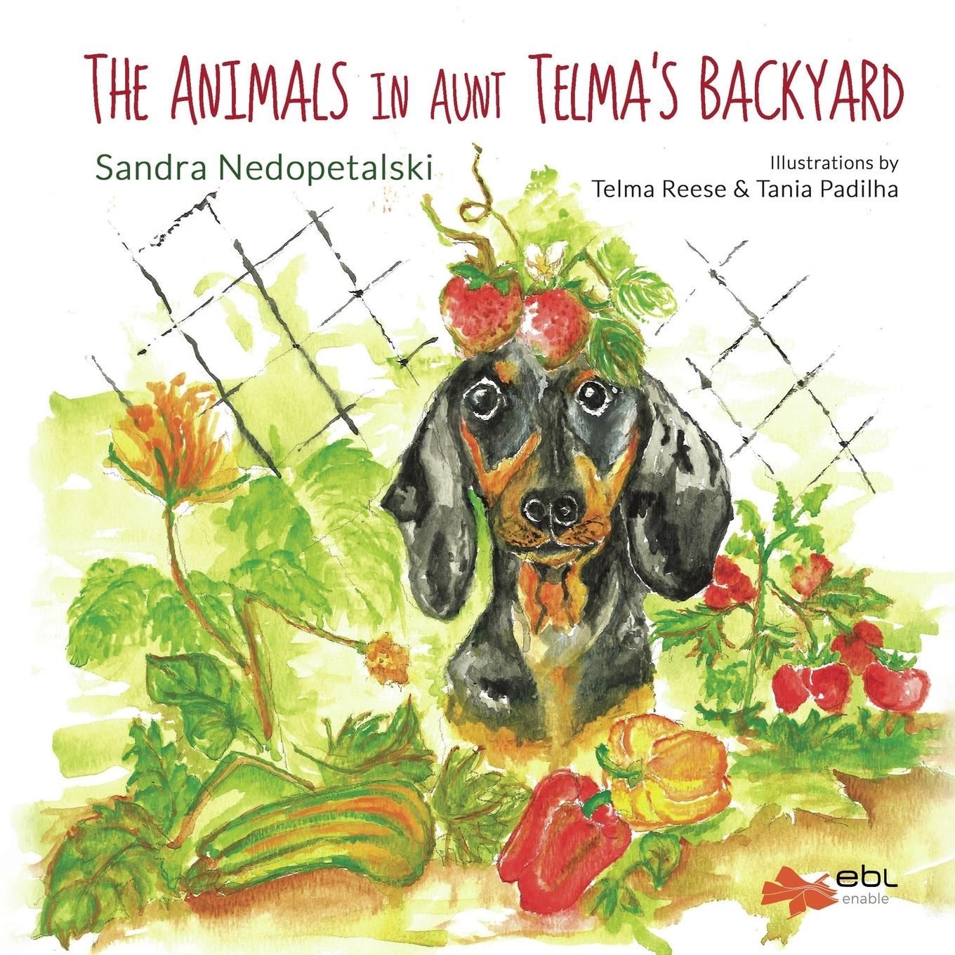 Vorderes Coverbild The Animals in Aunt Telma's Backyard