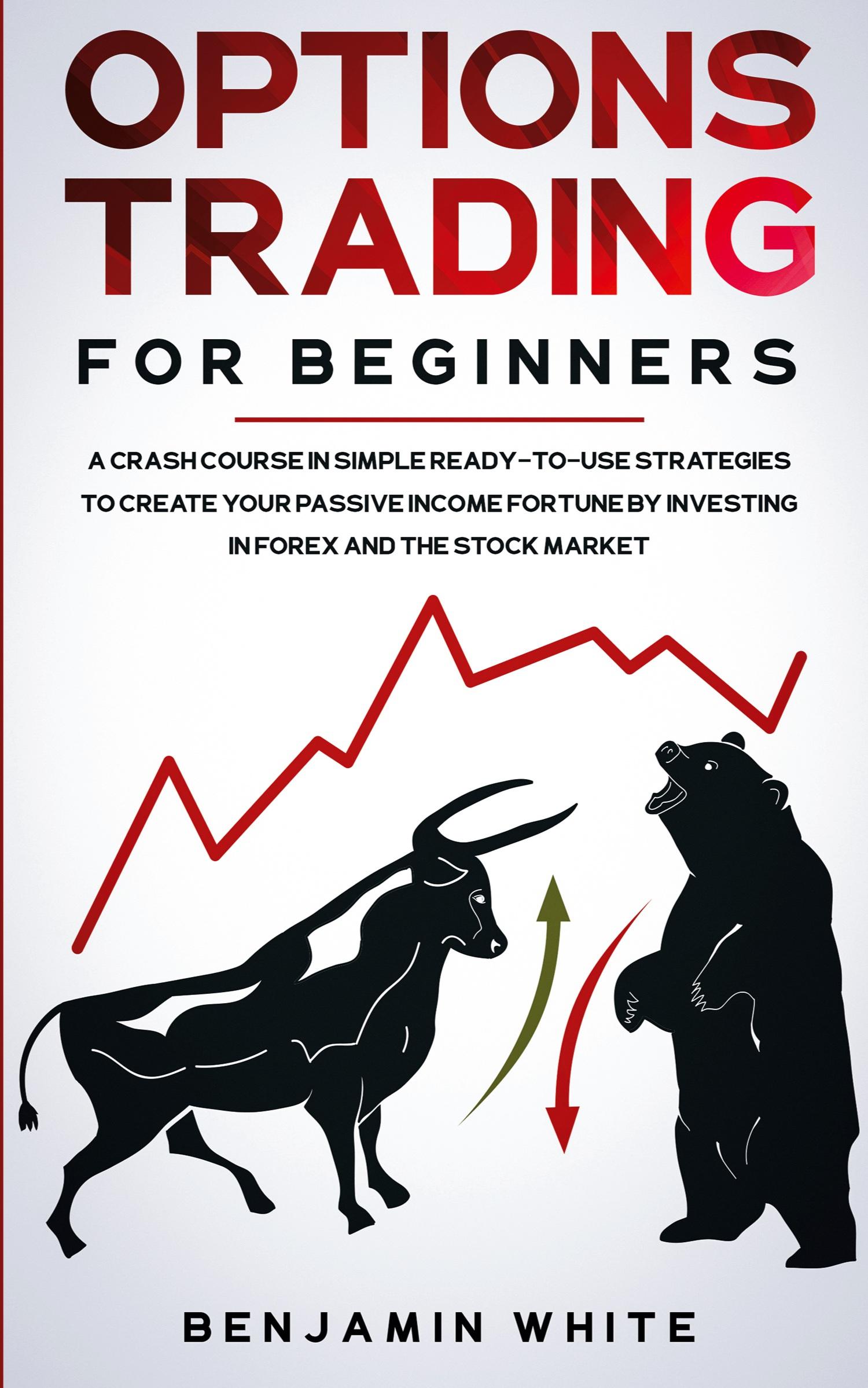 Vorderes Coverbild Options Trading for Beginners