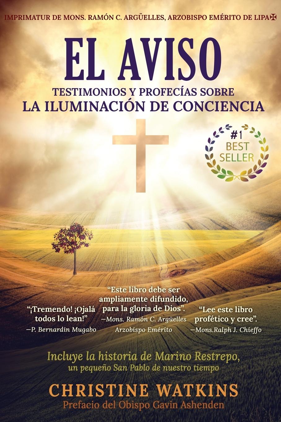 Vorderes Coverbild El Aviso