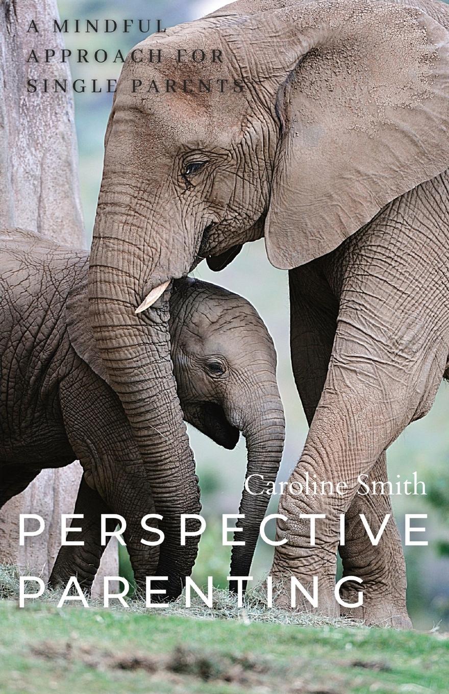 Vorderes Coverbild Perspective Parenting