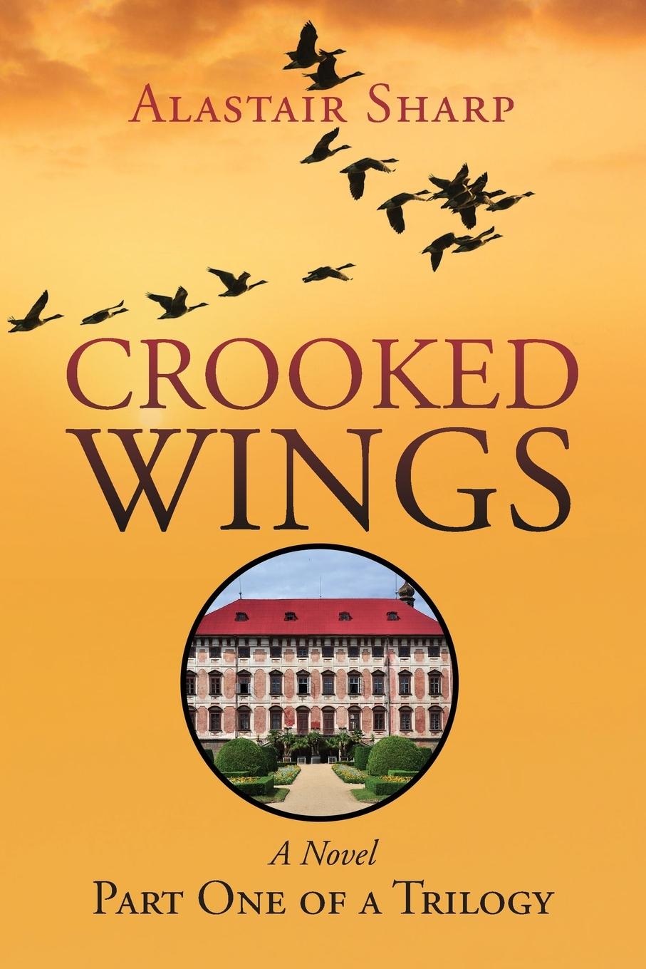 Vorderes Coverbild Crooked Wings