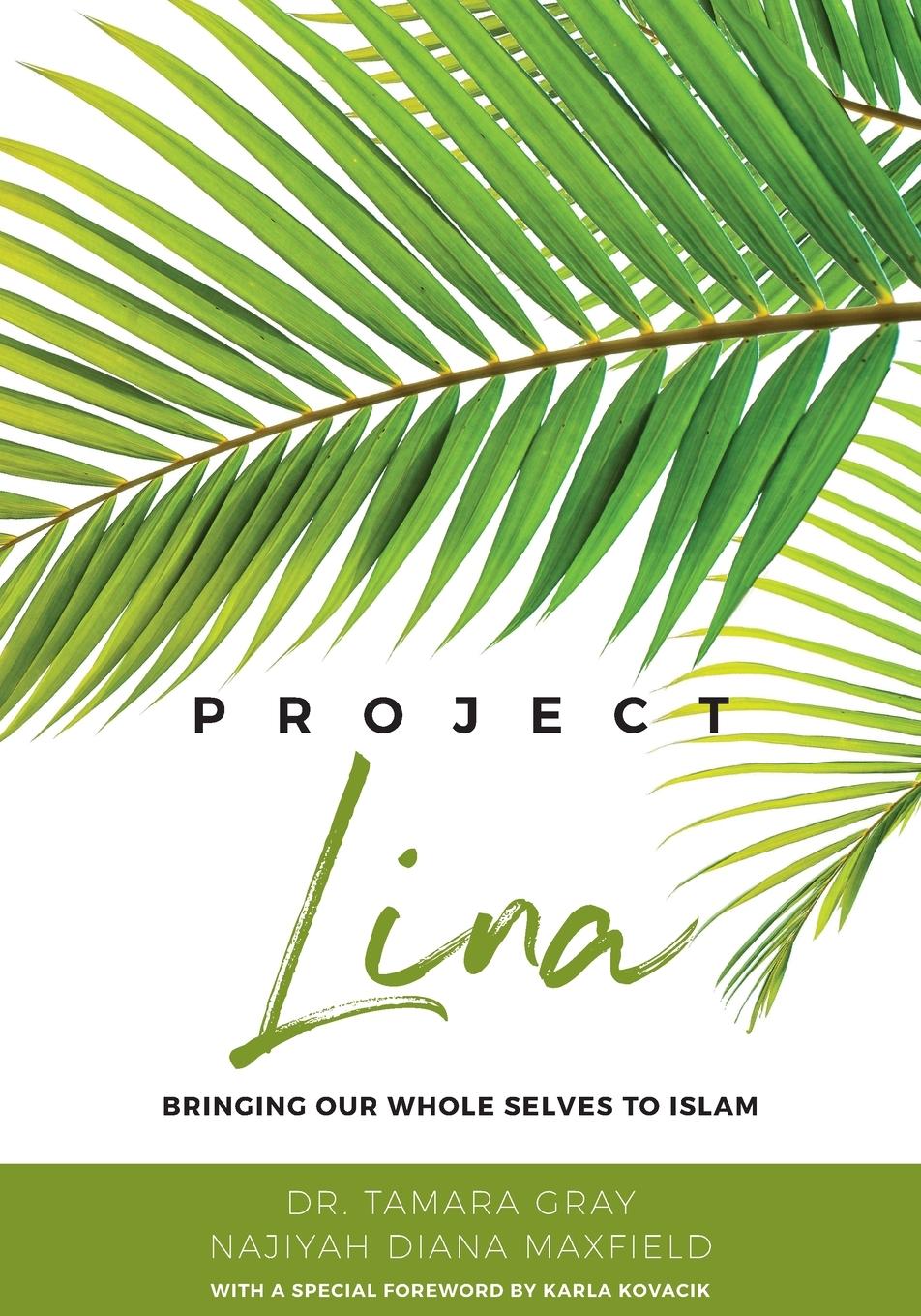 Vorderes Coverbild Project Lina
