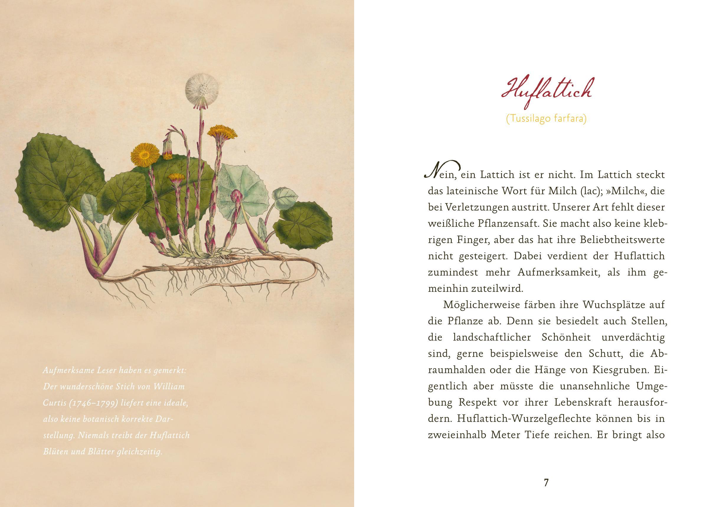 Beispielinhalt (Bild) Eifeler Blüten-Lese