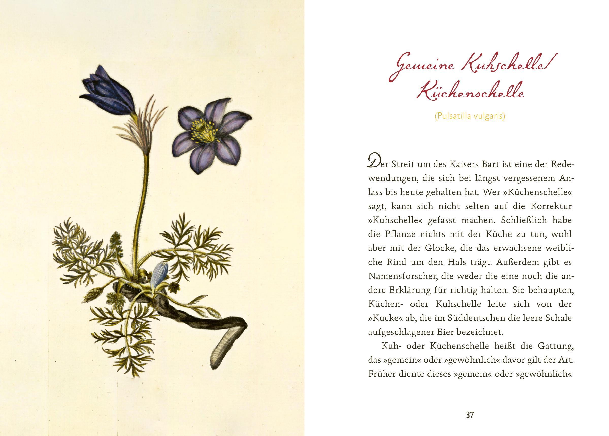 Beispielinhalt (Bild) Eifeler Blüten-Lese