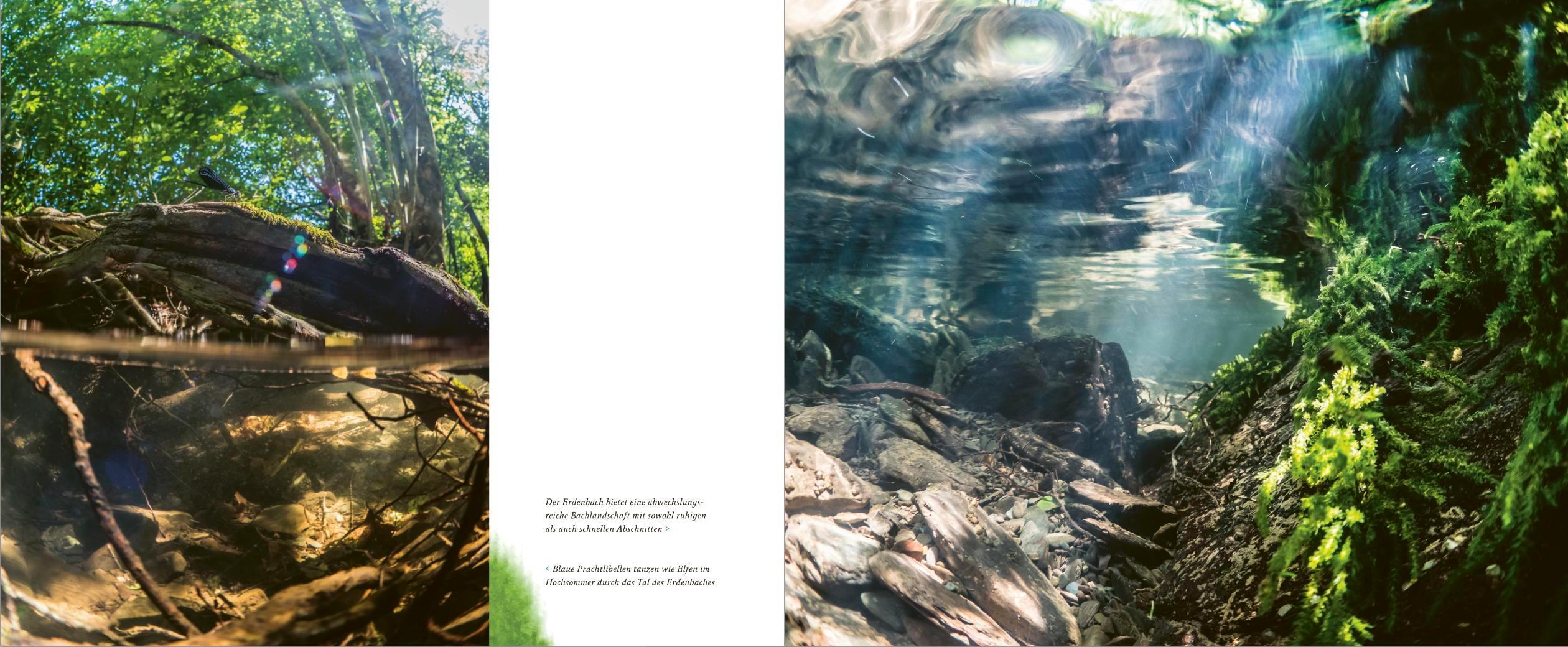 Beispielinhalt (Bild) Maare, Quellen, Wasserfälle