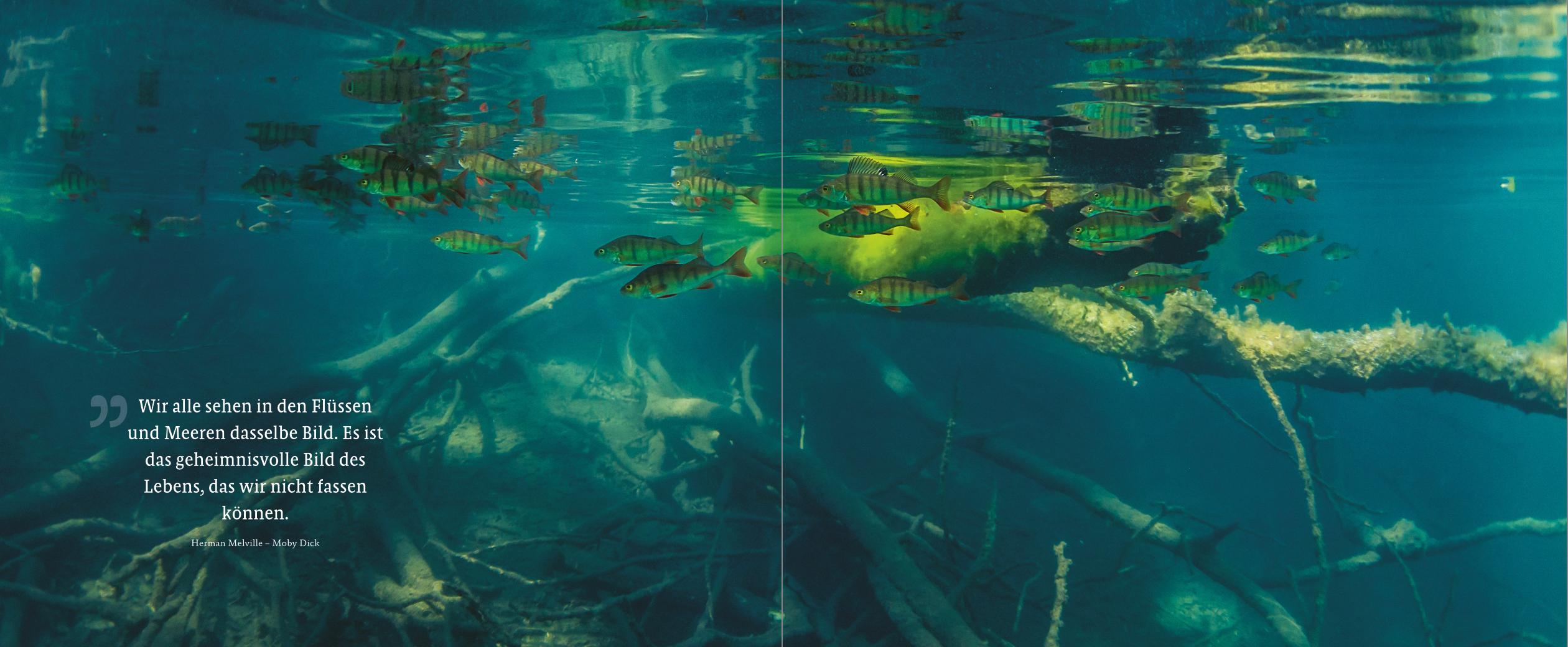 Beispielinhalt (Bild) Maare, Quellen, Wasserfälle