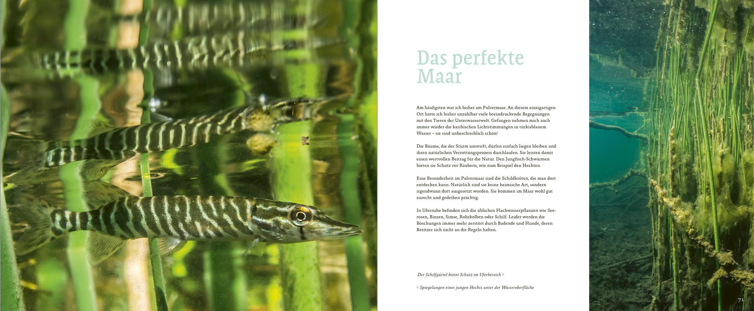 Beispielinhalt (Bild) Maare, Quellen, Wasserfälle