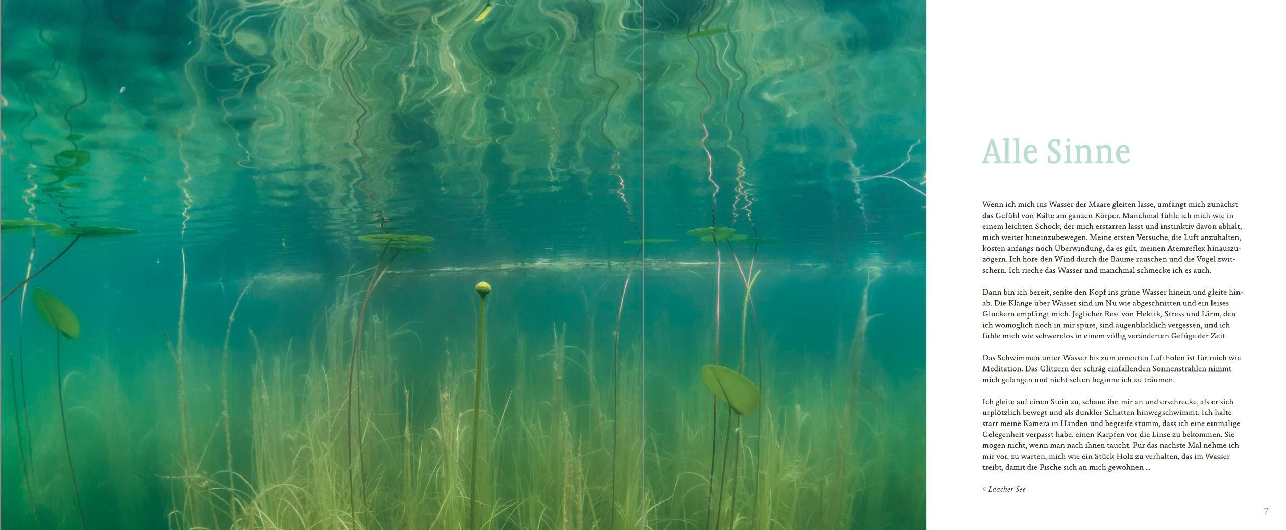 Beispielinhalt (Bild) Maare, Quellen, Wasserfälle