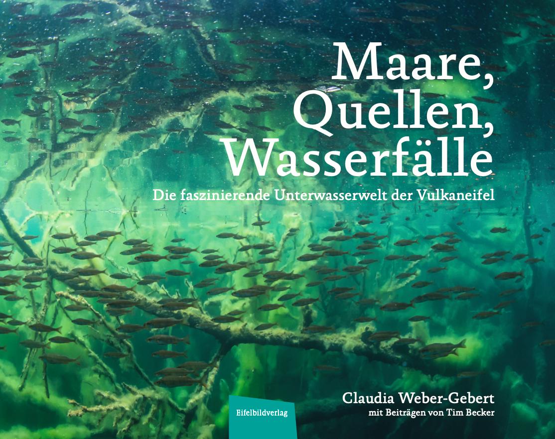 Vorderes Coverbild Maare, Quellen, Wasserfälle