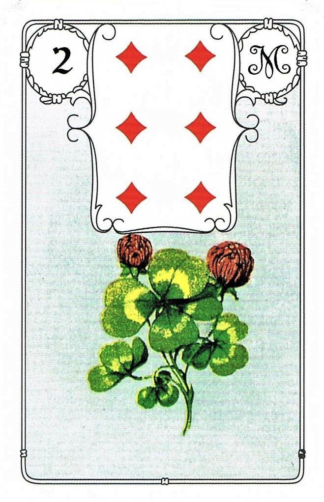 Beispielinhalt (Bild) Lenormand Blaue Eule