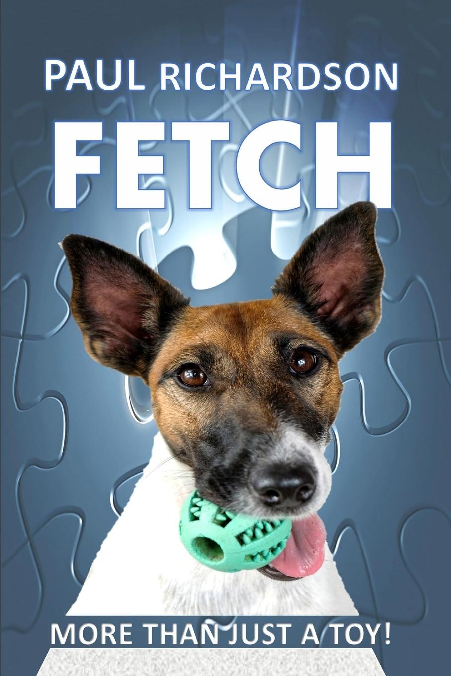 Vorderes Coverbild Fetch