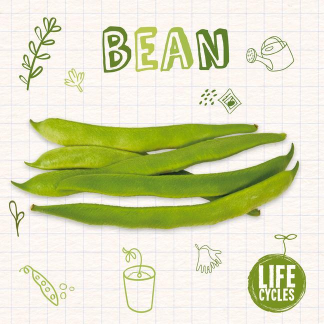 Vorderes Coverbild Bean