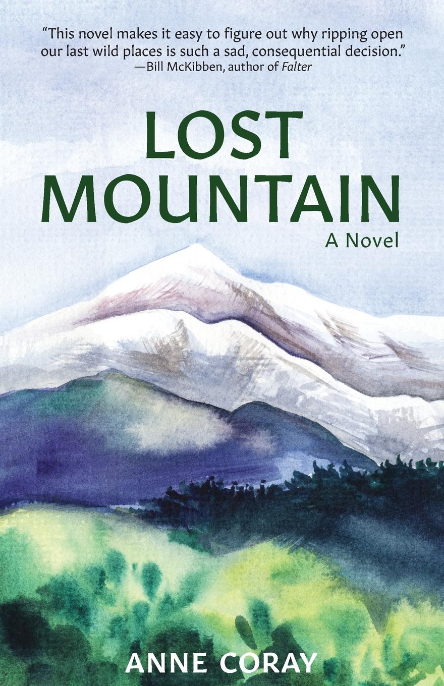 Vorderes Coverbild Lost Mountain
