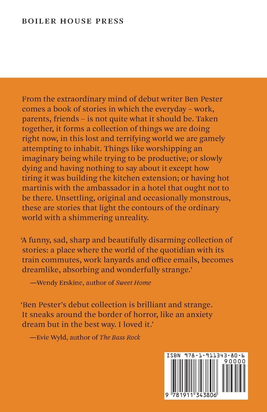 Rückseitencover Am I In The Right Place?