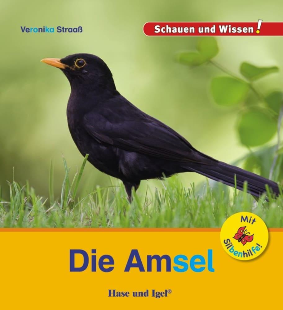 Vorderes Coverbild Die Amsel / Sonderausgabe mit Silbenhilfe