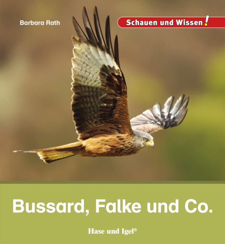 Vorderes Coverbild Bussard, Falke und Co.