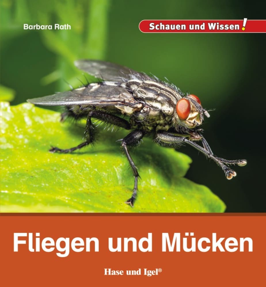 Vorderes Coverbild Fliegen und Mücken