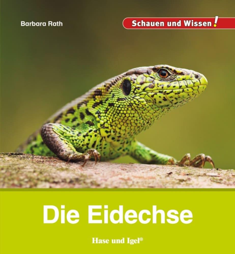 Vorderes Coverbild Die Eidechse