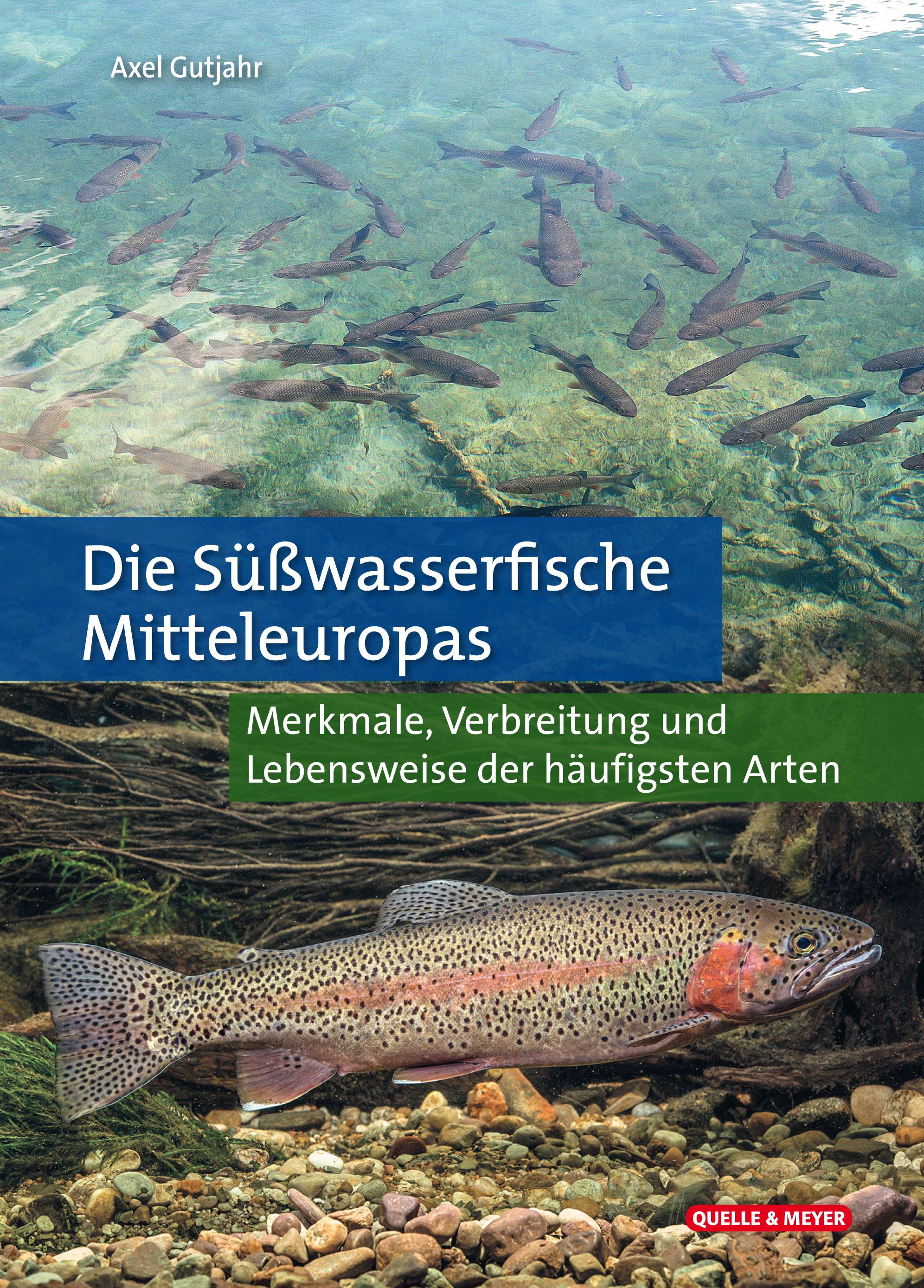 Vorderes Coverbild Die Süßwasserfische Mitteleuropas
