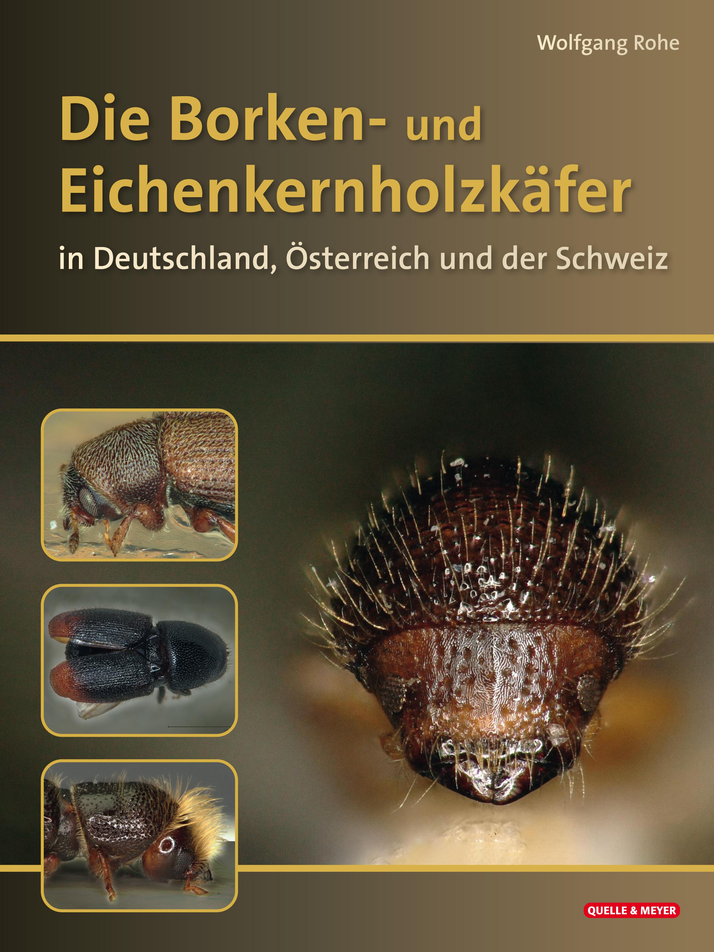 Vorderes Coverbild Die Borkenkäfer Deutschlands, Österreichs und der Schweiz