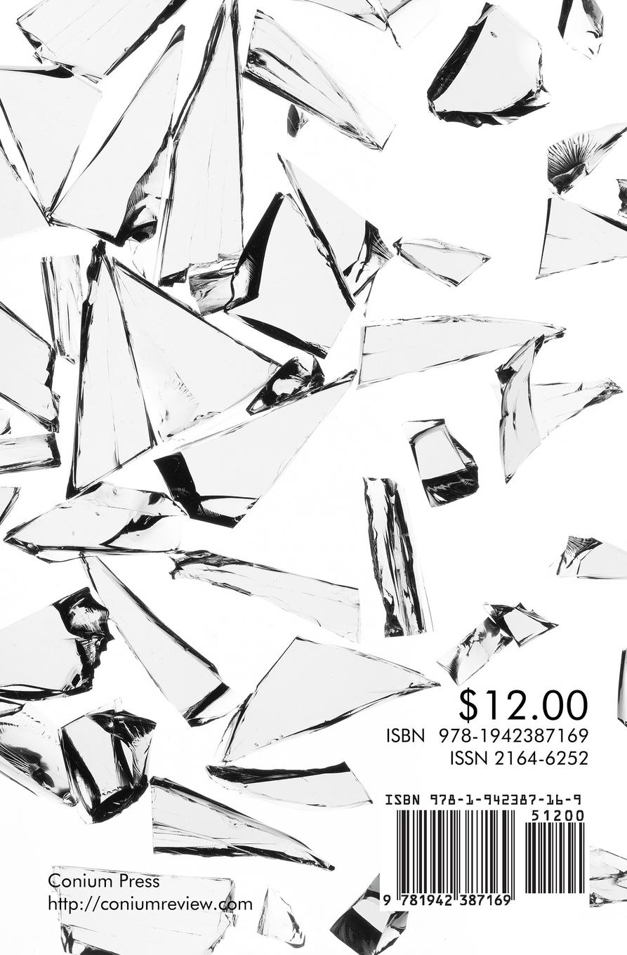 Rückseitencover The Conium Review