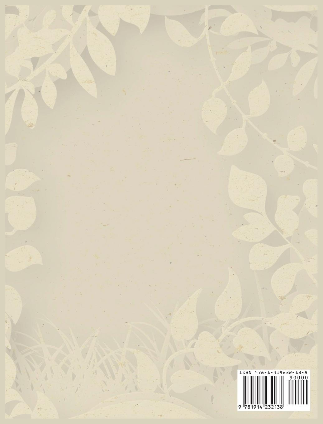 Rückseitencover Cricut For Beginners 4 books in 1