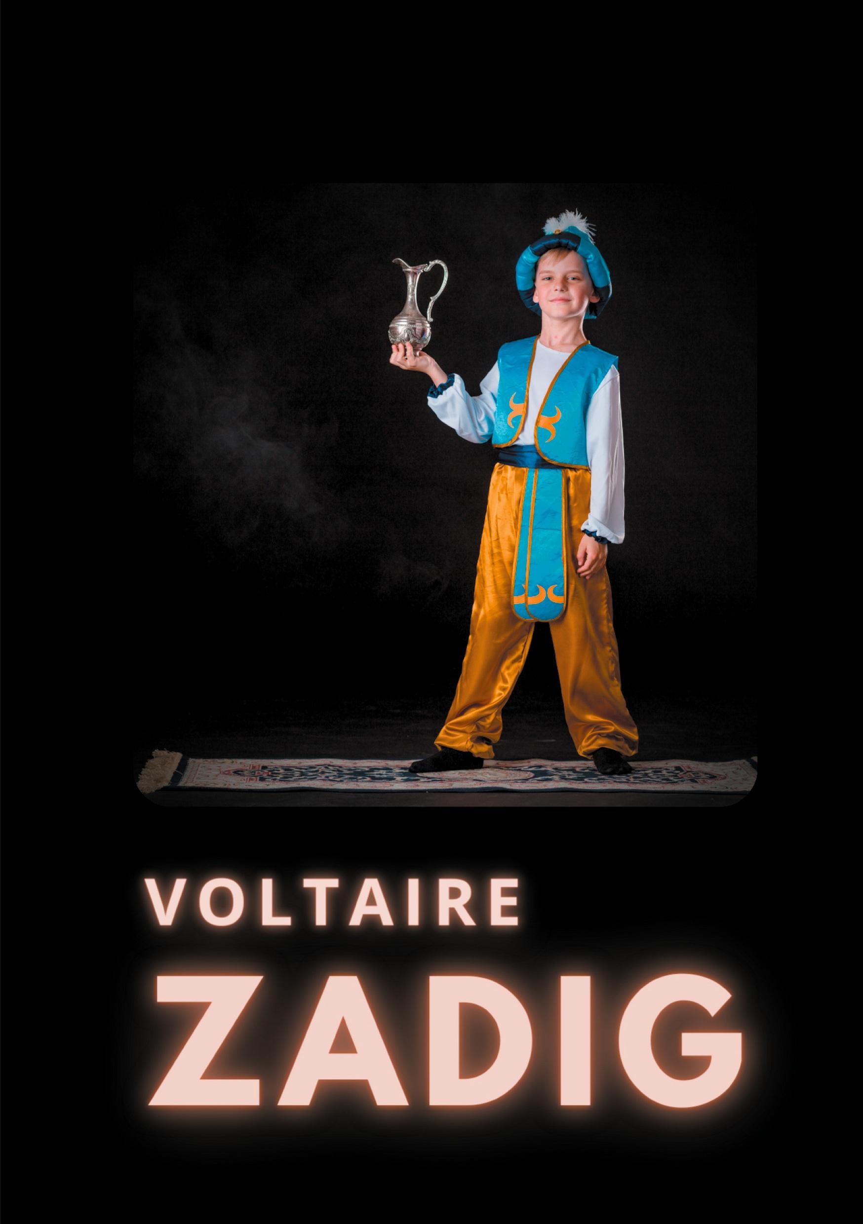 Vorderes Coverbild Zadig