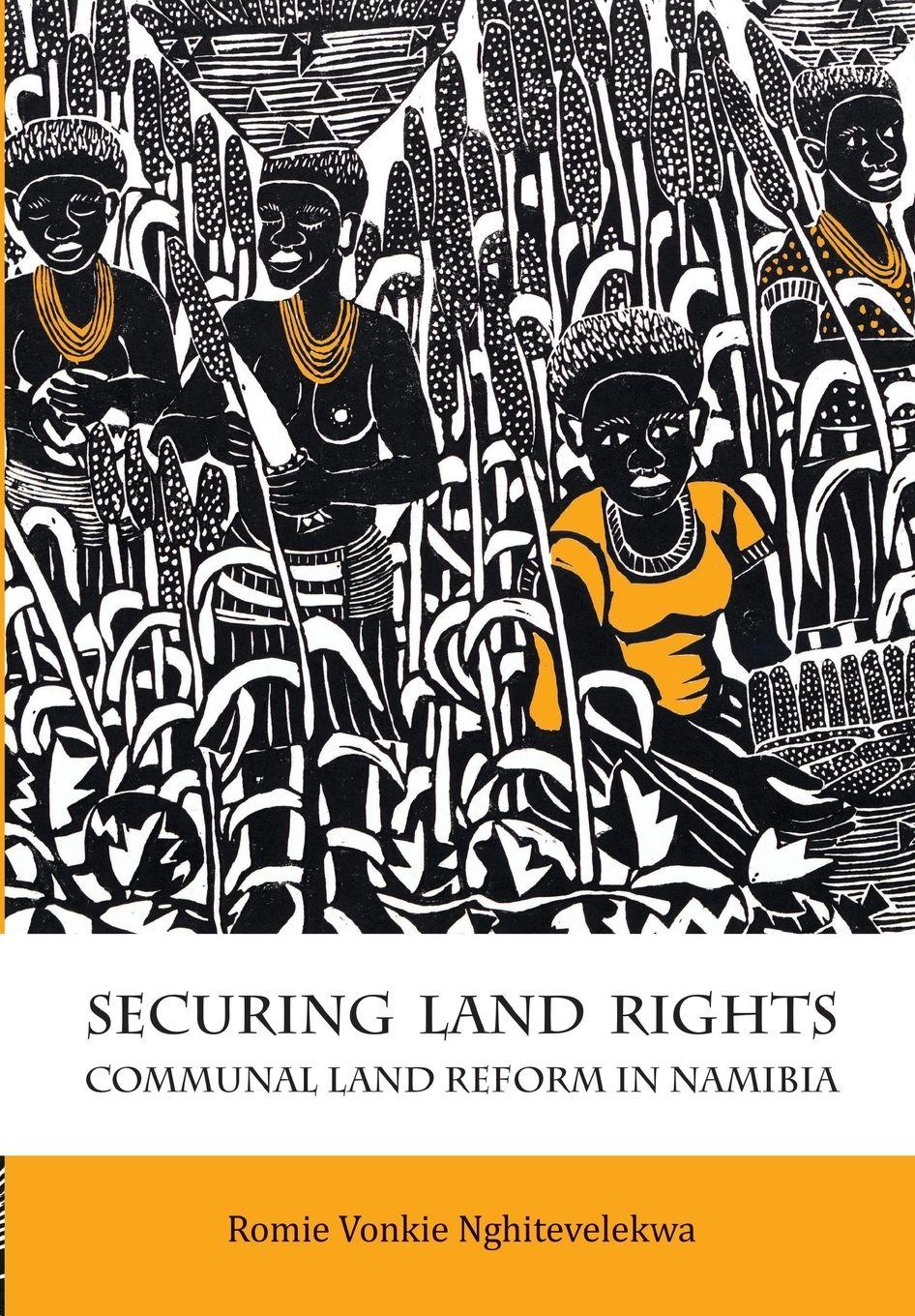 Vorderes Coverbild Securing Land Rights