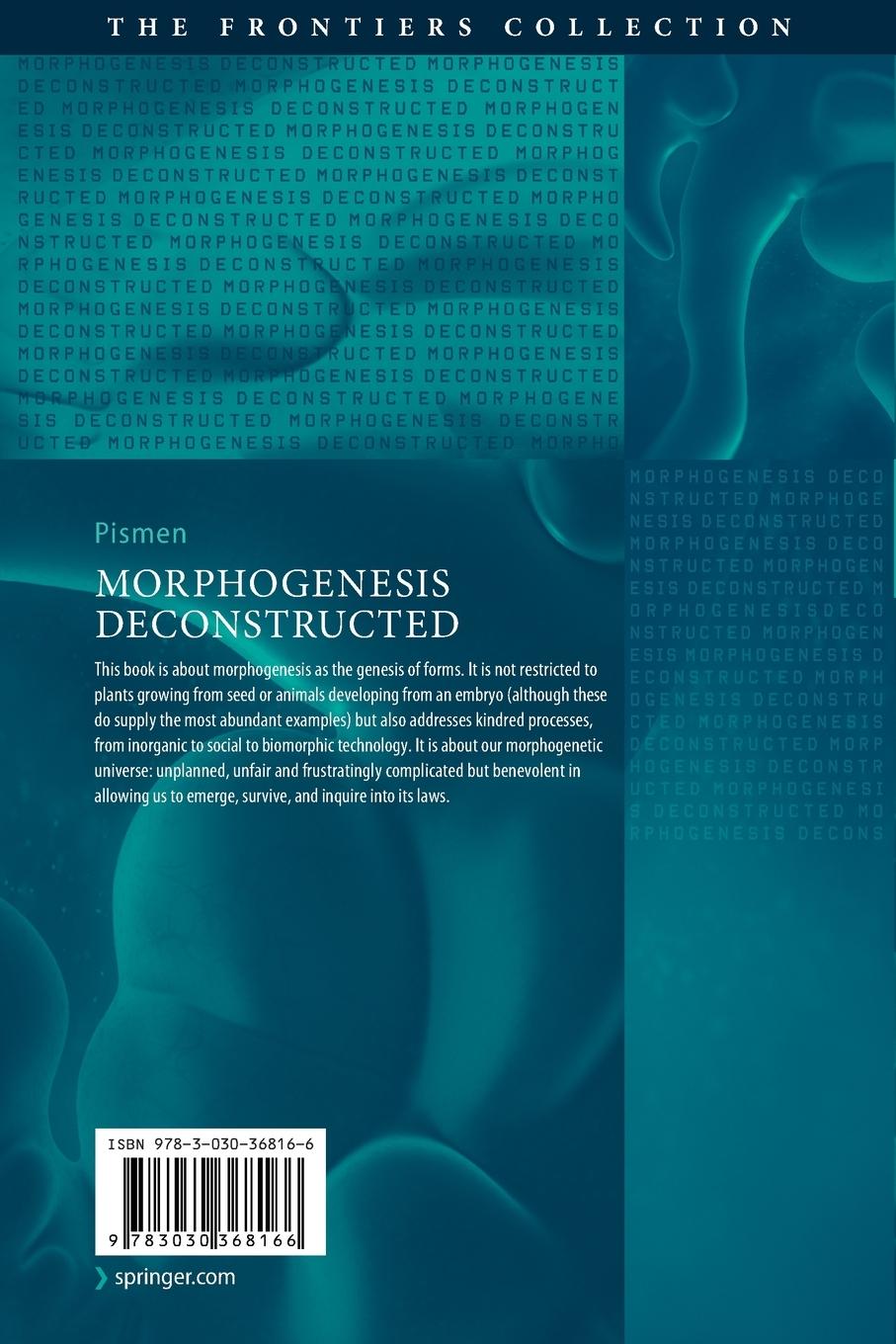 Rückseitencover Morphogenesis Deconstructed