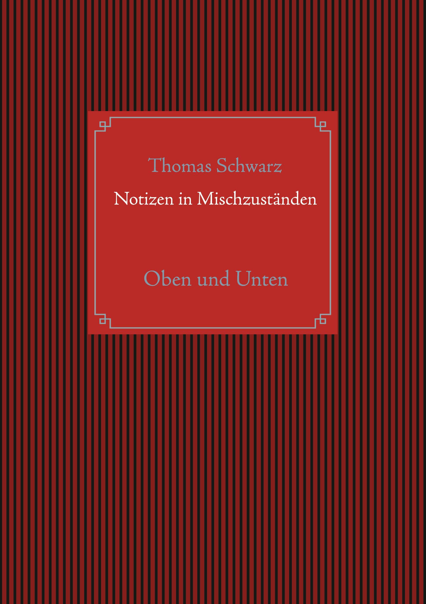 Vorderes Coverbild Notizen in Mischzuständen