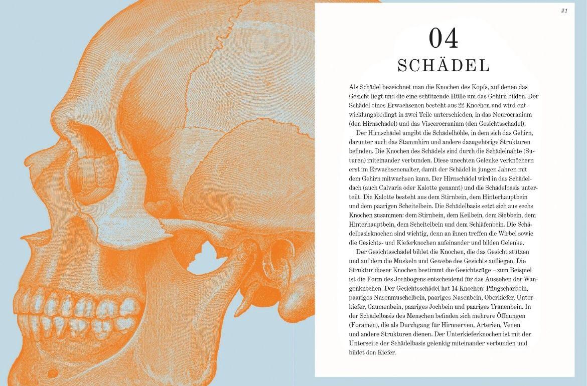 Beispielinhalt (Bild) GRAY'S ANATOMIE RÄTSELBUCH