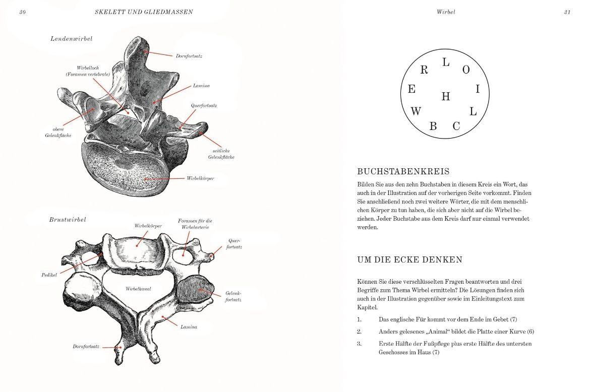 Beispielinhalt (Bild) GRAY'S ANATOMIE RÄTSELBUCH