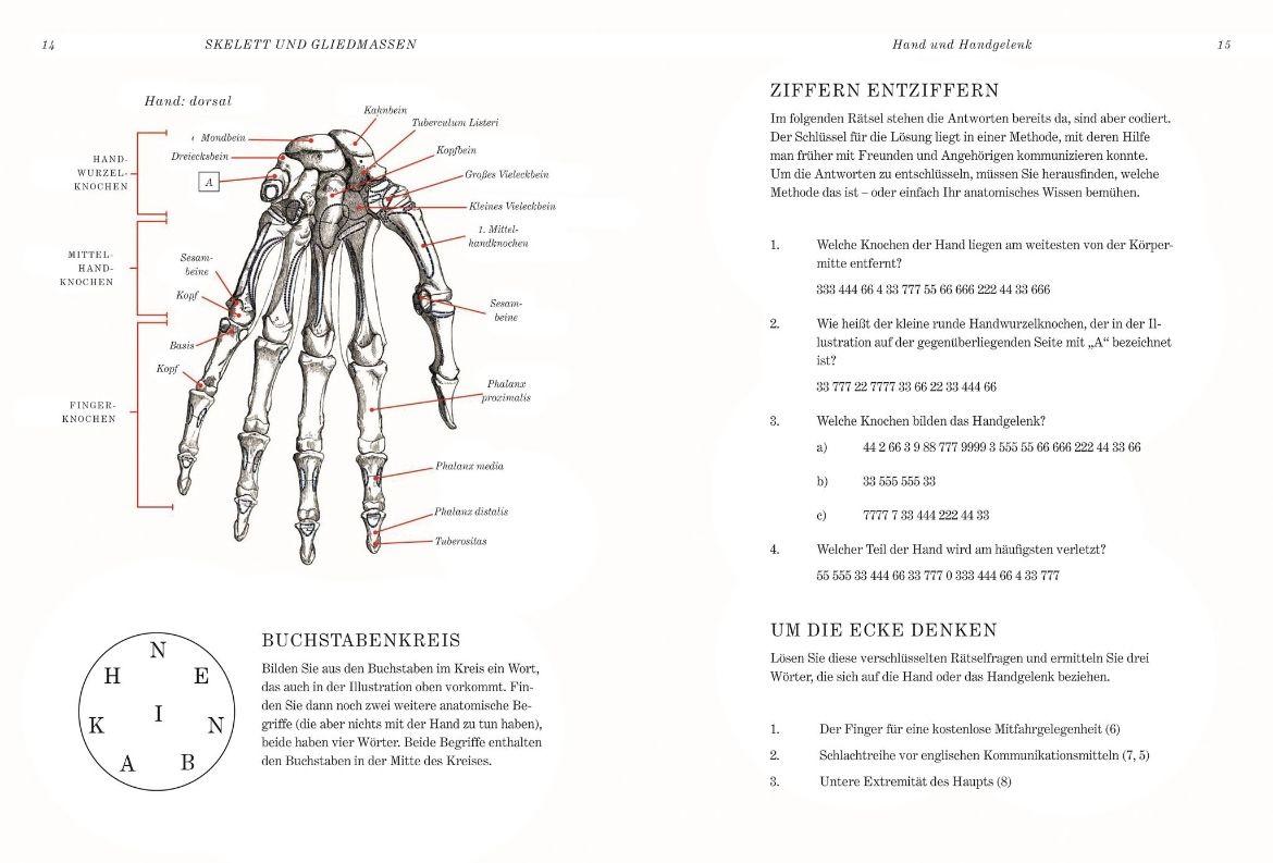 Beispielinhalt (Bild) GRAY'S ANATOMIE RÄTSELBUCH