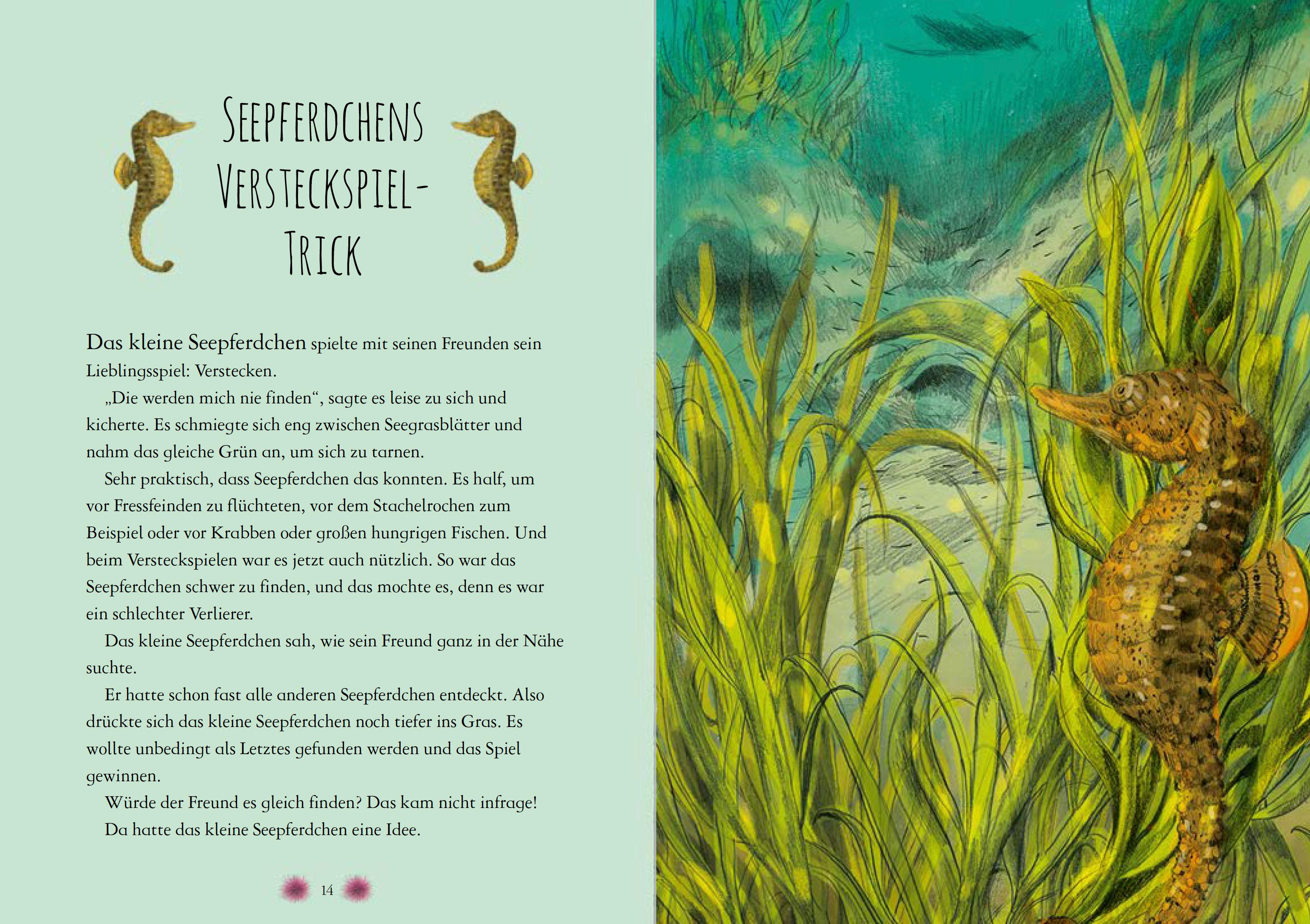 Beispielinhalt (Bild) Wunderwelt der Tiere im Meer