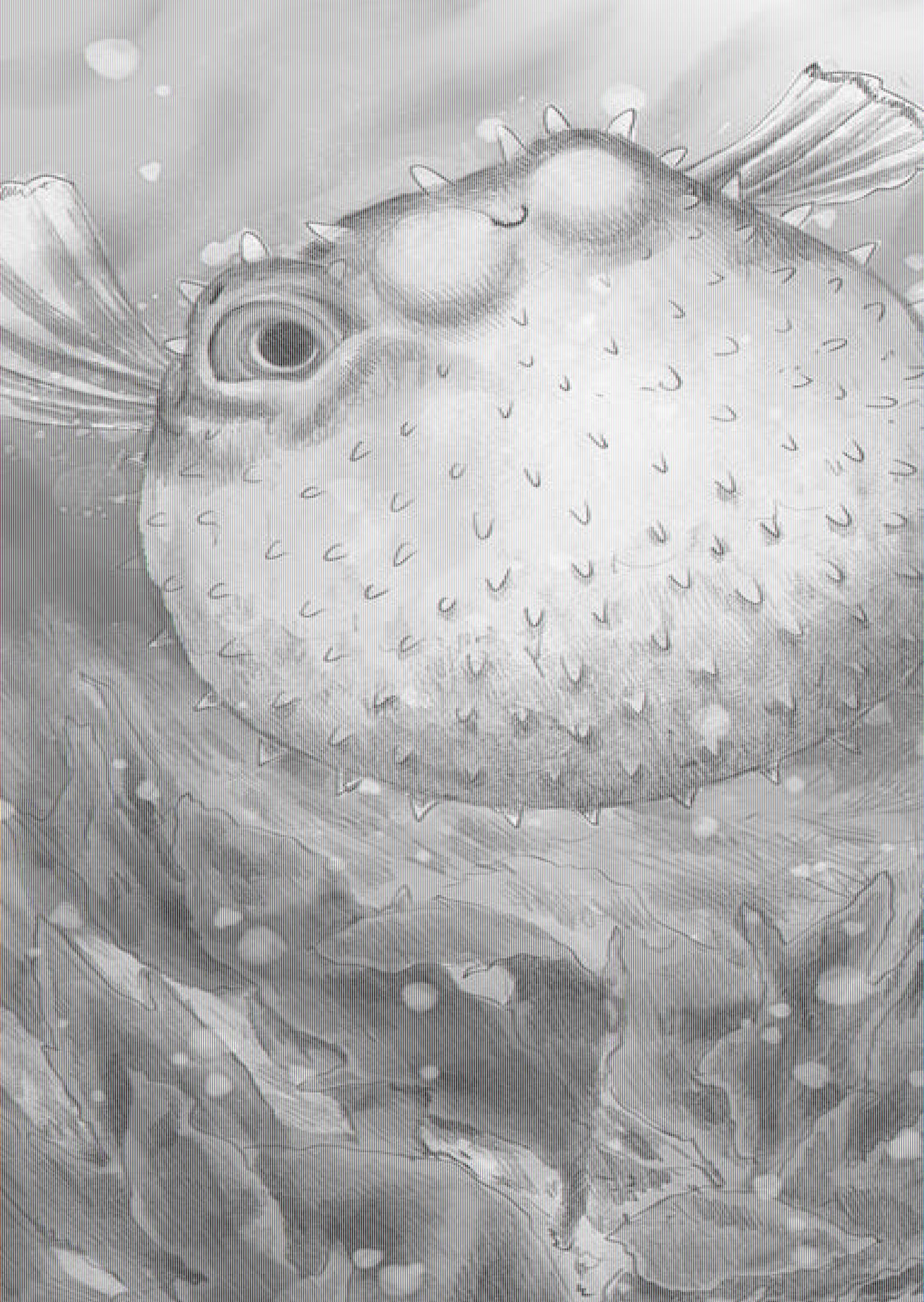 Beispielinhalt (Bild) Wunderwelt der Tiere im Meer