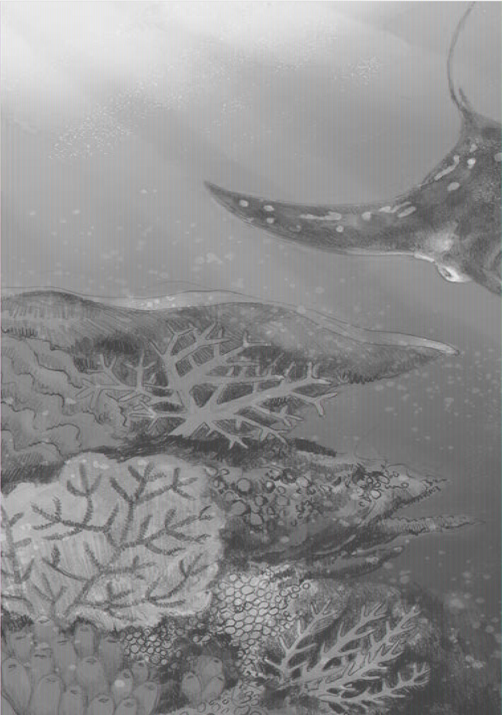 Beispielinhalt (Bild) Wunderwelt der Tiere im Meer