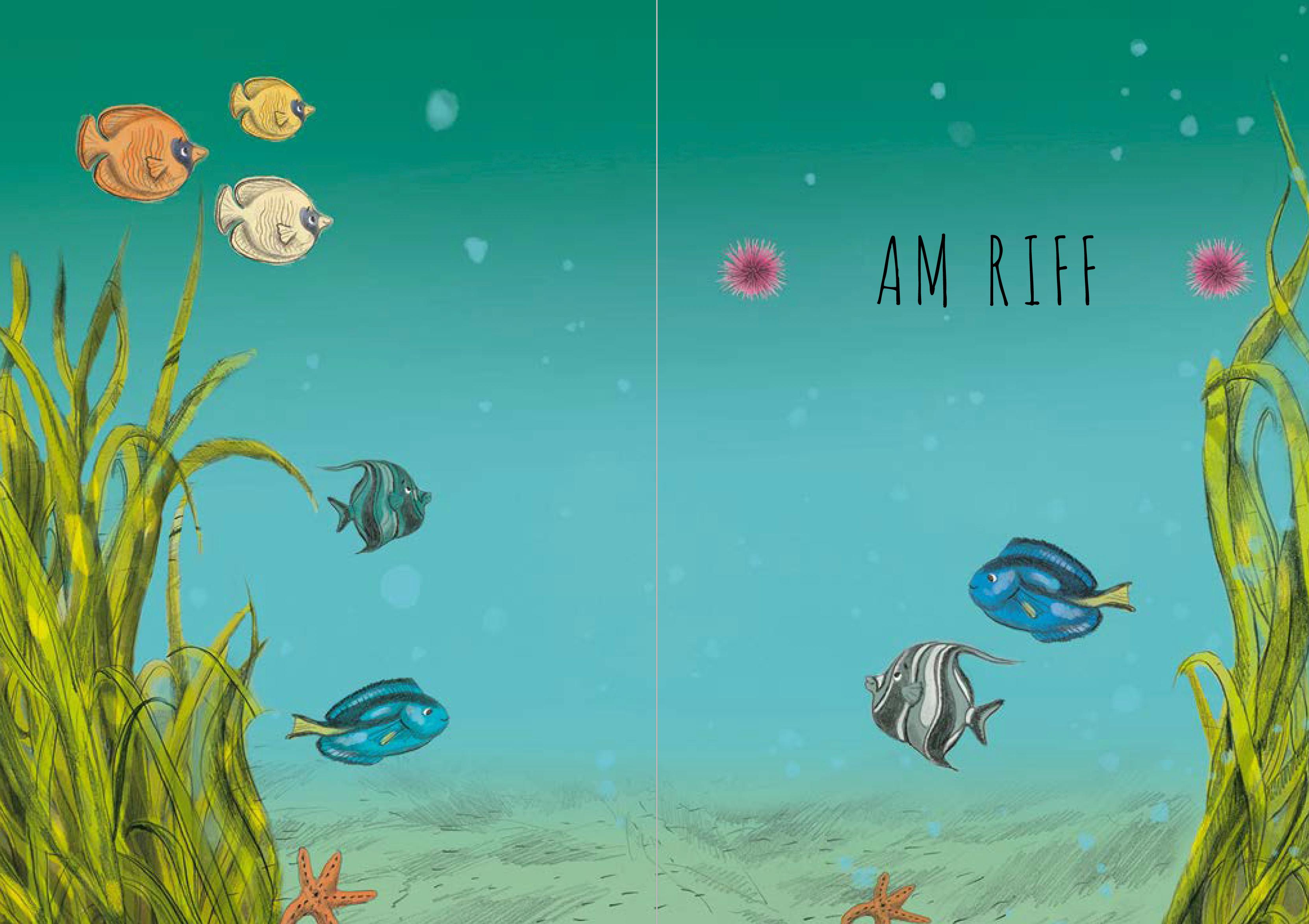 Beispielinhalt (Bild) Wunderwelt der Tiere im Meer