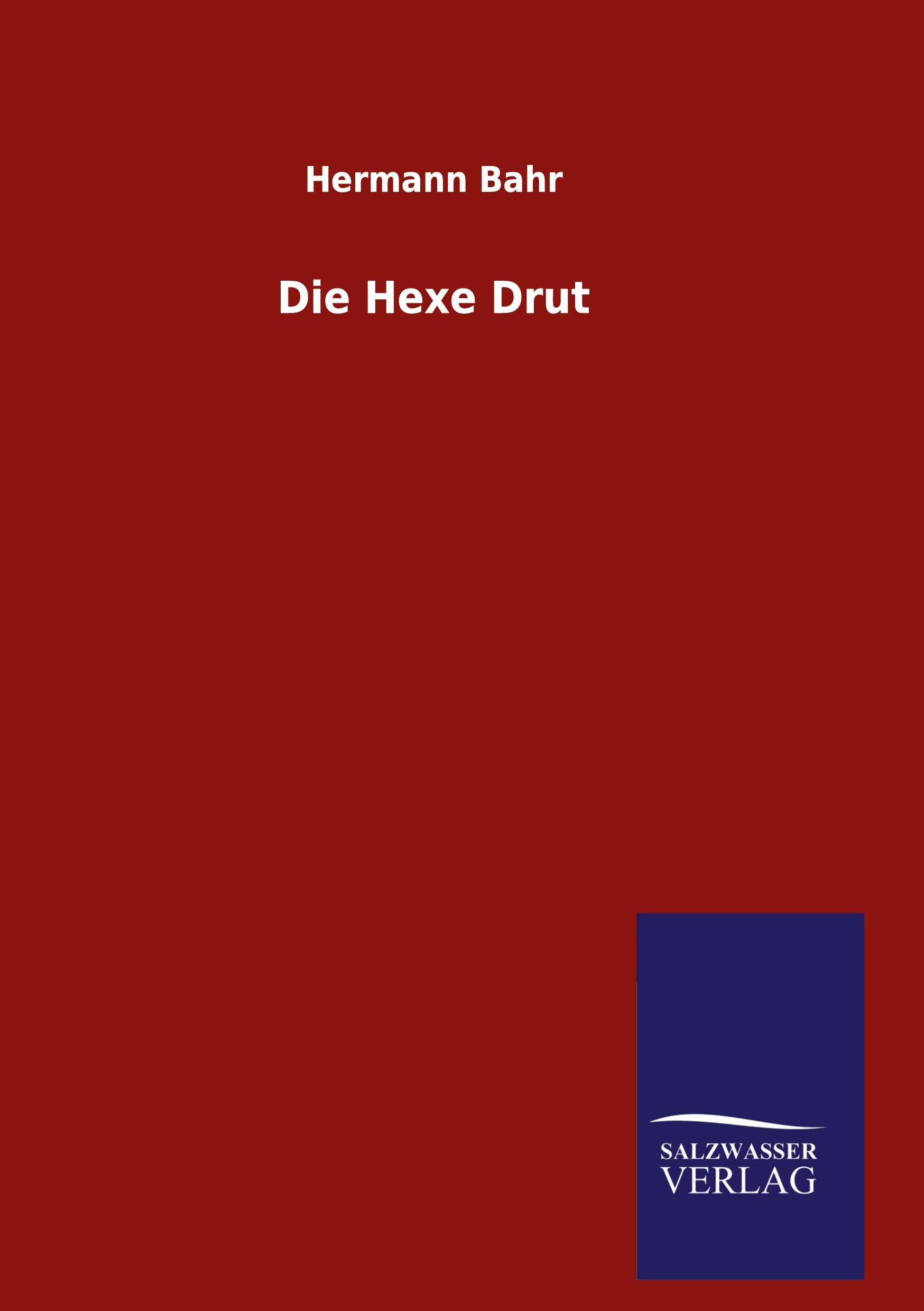 Vorderes Coverbild Die Hexe Drut