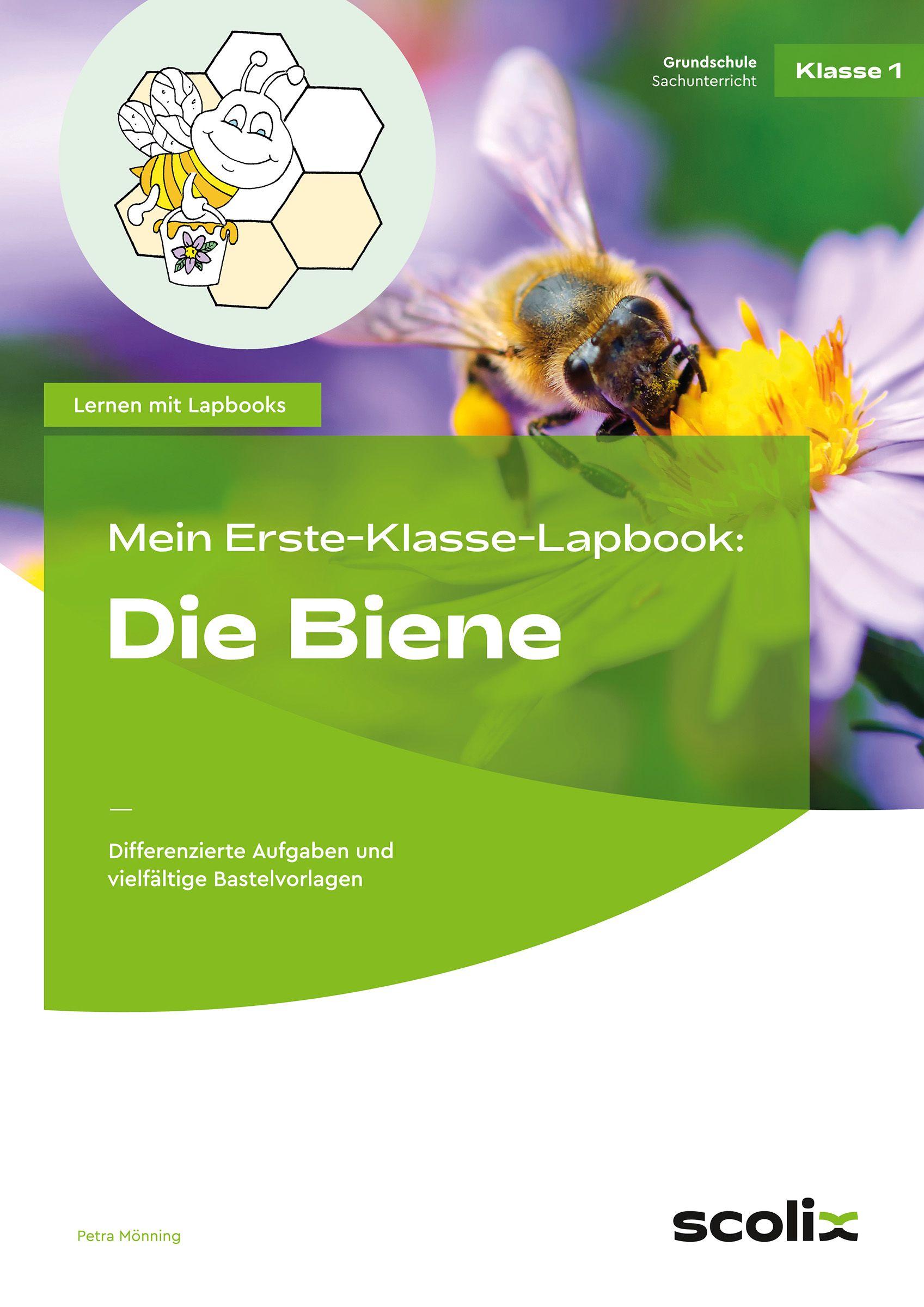 Vorderes Coverbild Mein Erste-Klasse-Lapbook: Die Biene