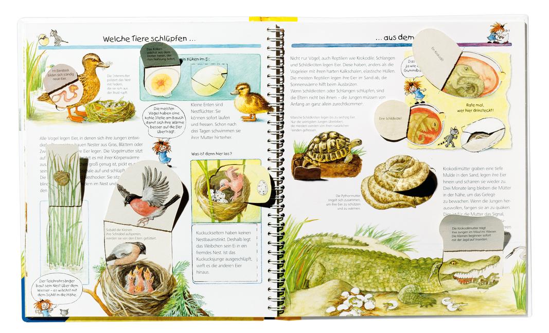 Beispielinhalt (Bild) Wieso? Weshalb? Warum?, Band 33: Tiere und ihre Kinder