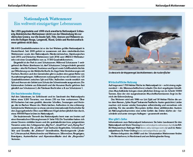 Beispielinhalt (Bild) Eiderstedt & Husum