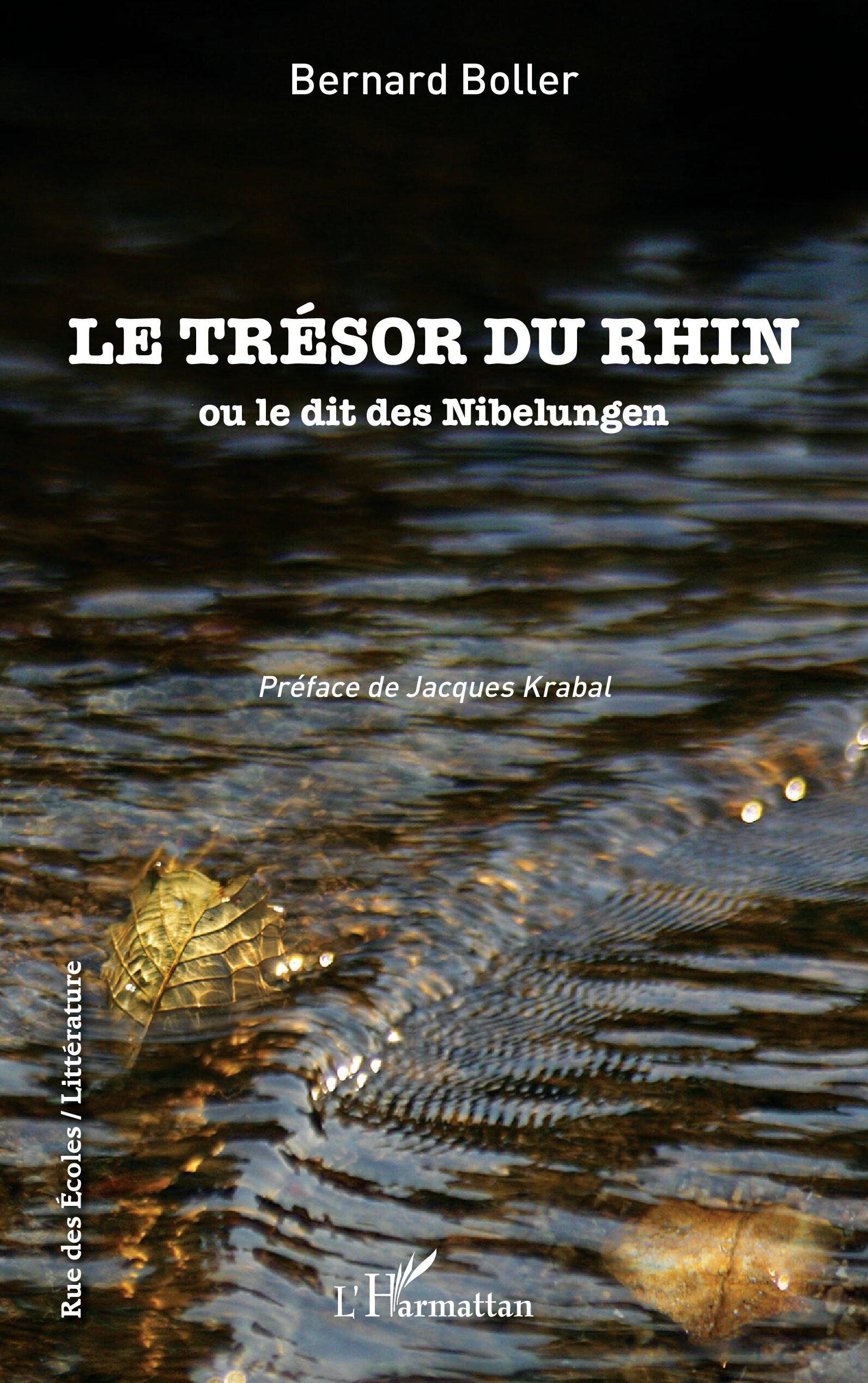 Vorderes Coverbild Le trésor du Rhin