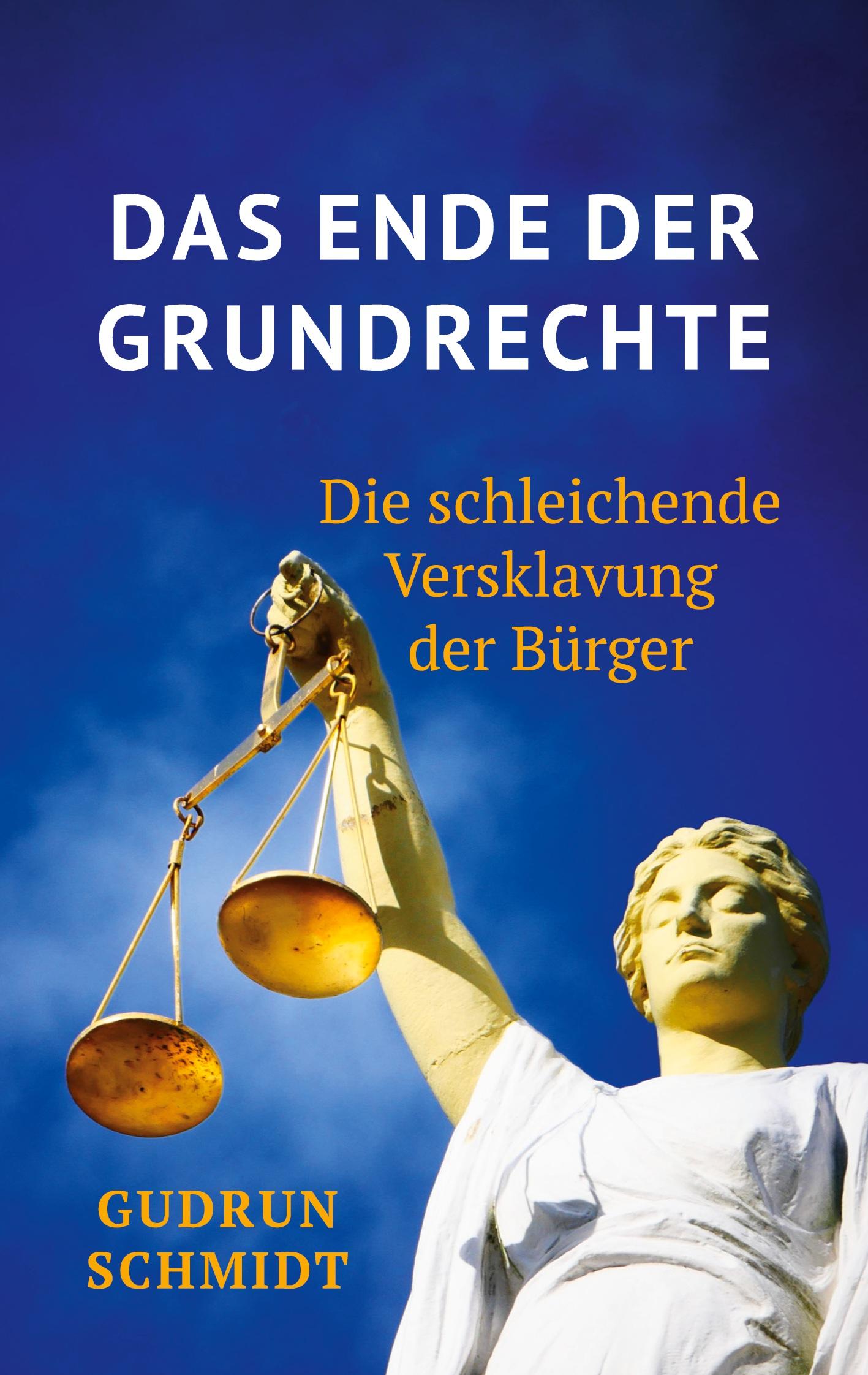 Vorderes Coverbild Das Ende der Grundrechte