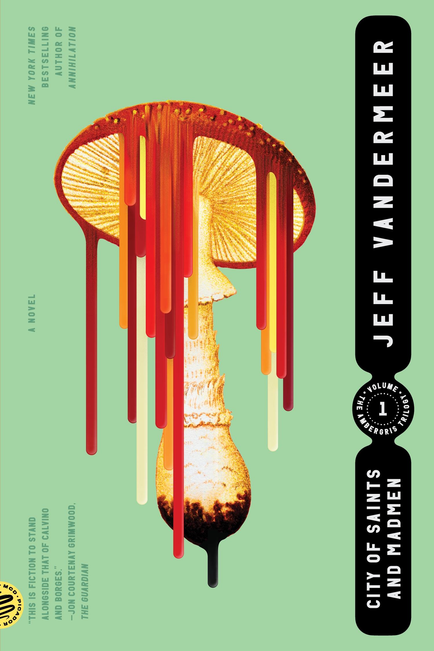 Vorderes Coverbild City of Saints and Madmen