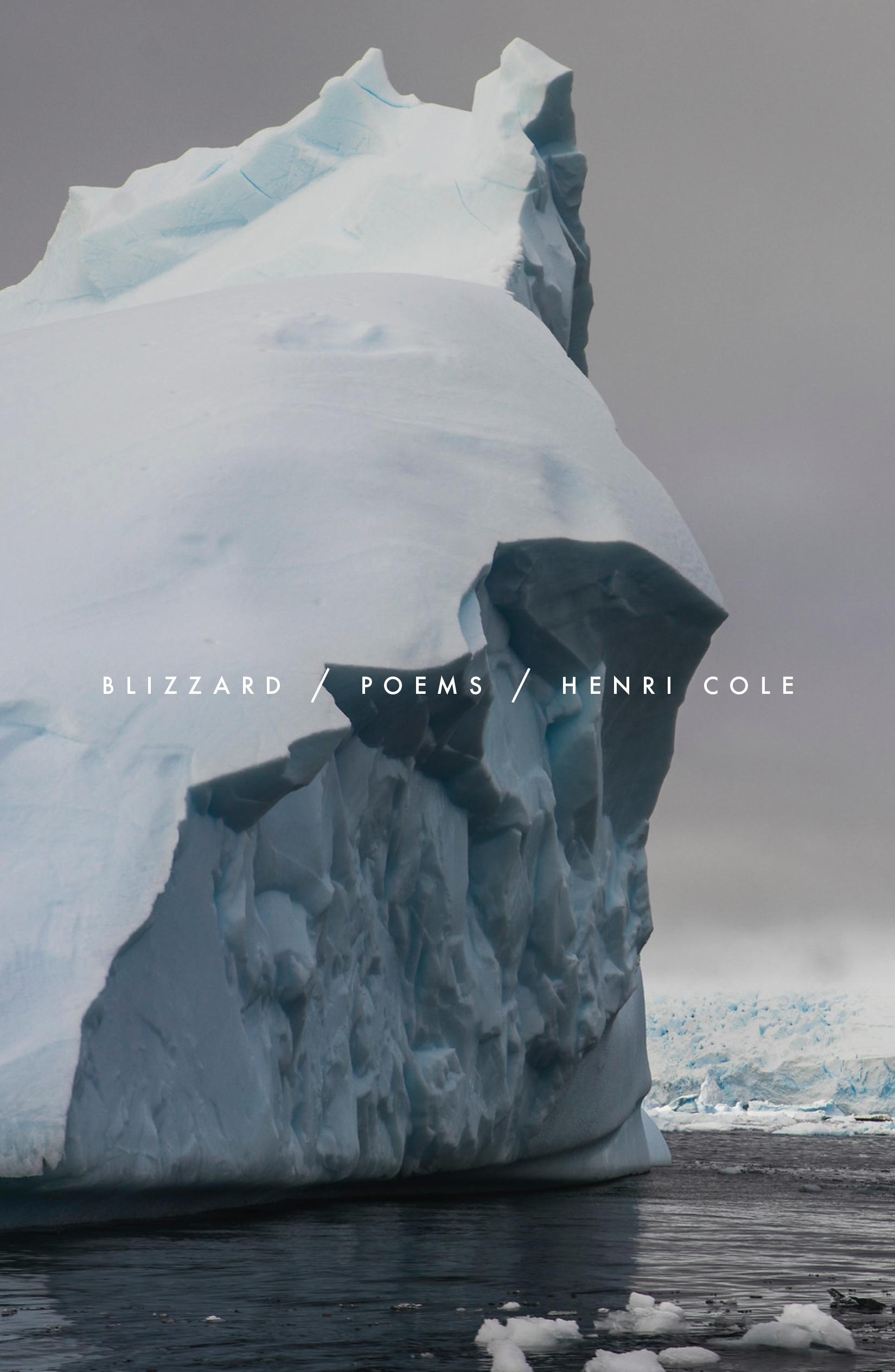 Vorderes Coverbild Blizzard