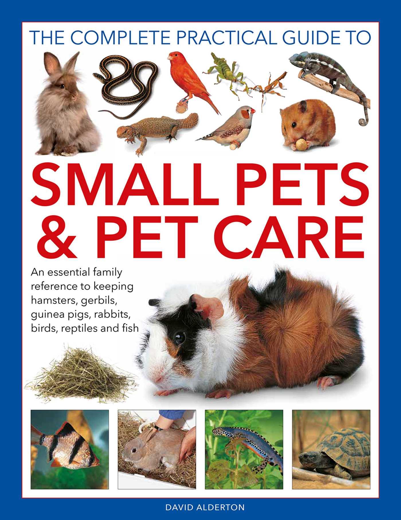 Vorderes Coverbild The Complete Practical Guide to Small Pets and Pet Care