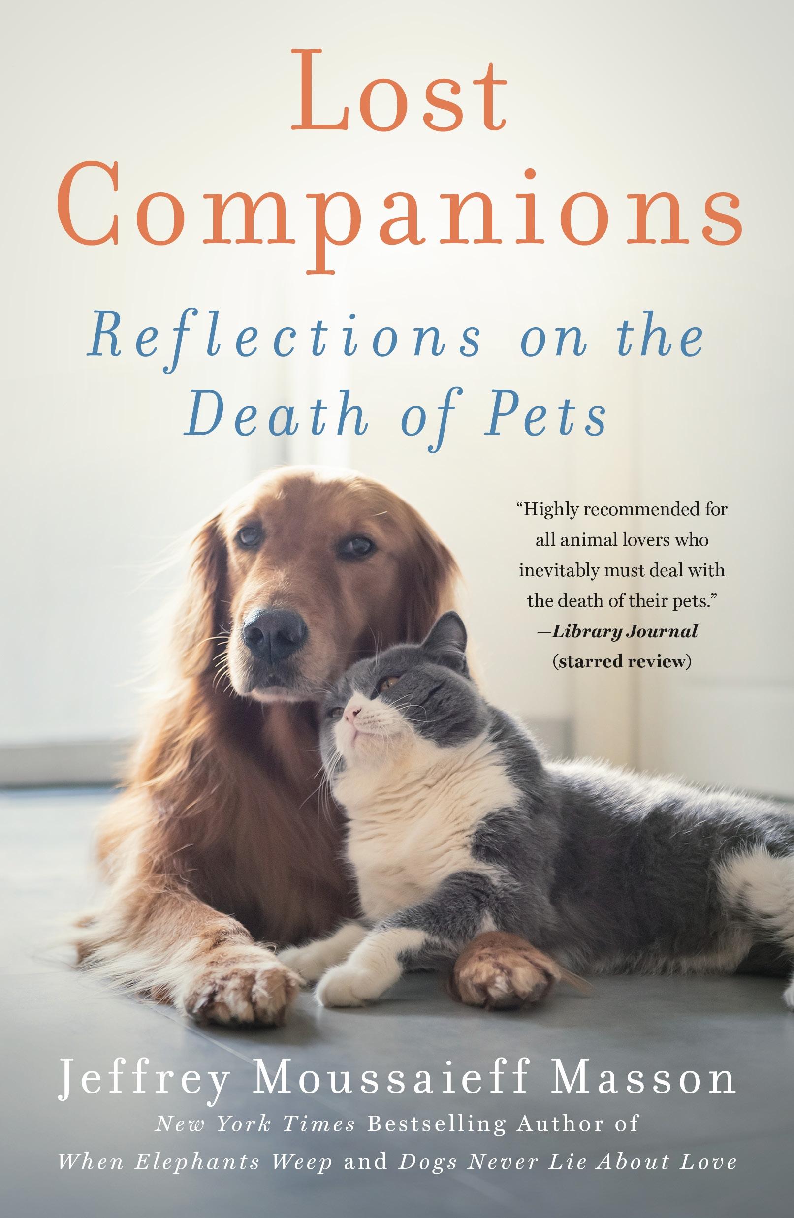 Vorderes Coverbild Lost Companions